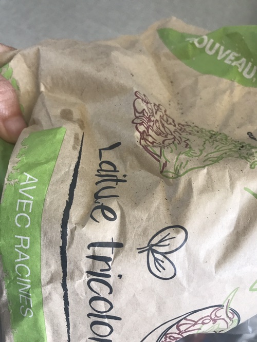 lidl 带根生菜