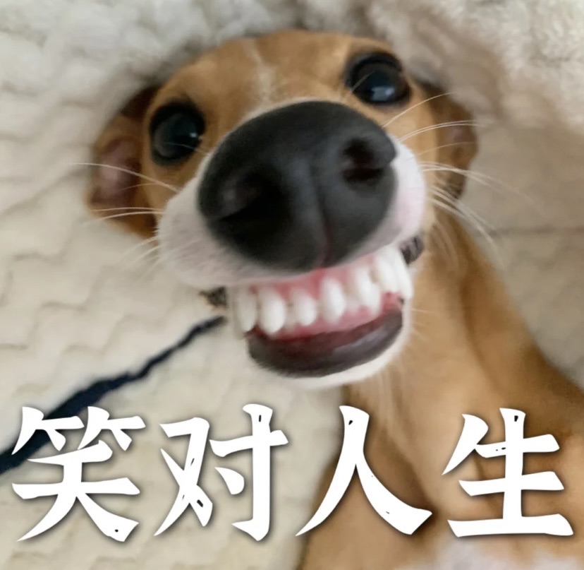 La poste 听我说谢谢你