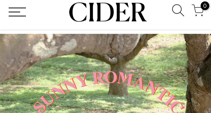 Cider购物分享