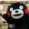 什么玩意儿