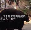 开开心心去上班