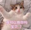 夏麦樂