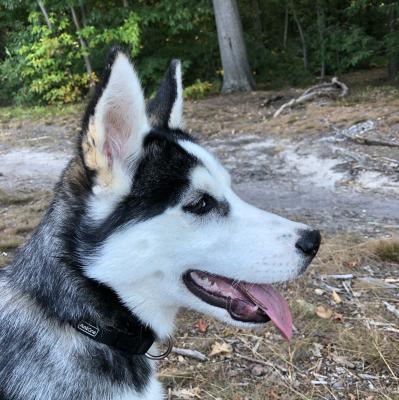 huda beauty沙漠玫瑰金,妹子们要谨慎!