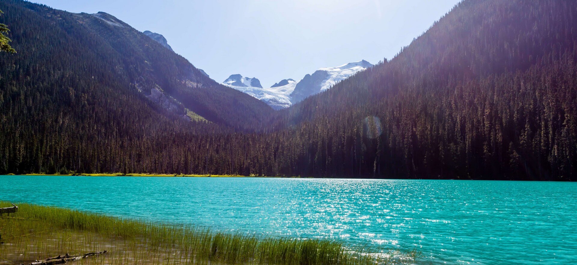 הרי הרוקיס הקנדיים