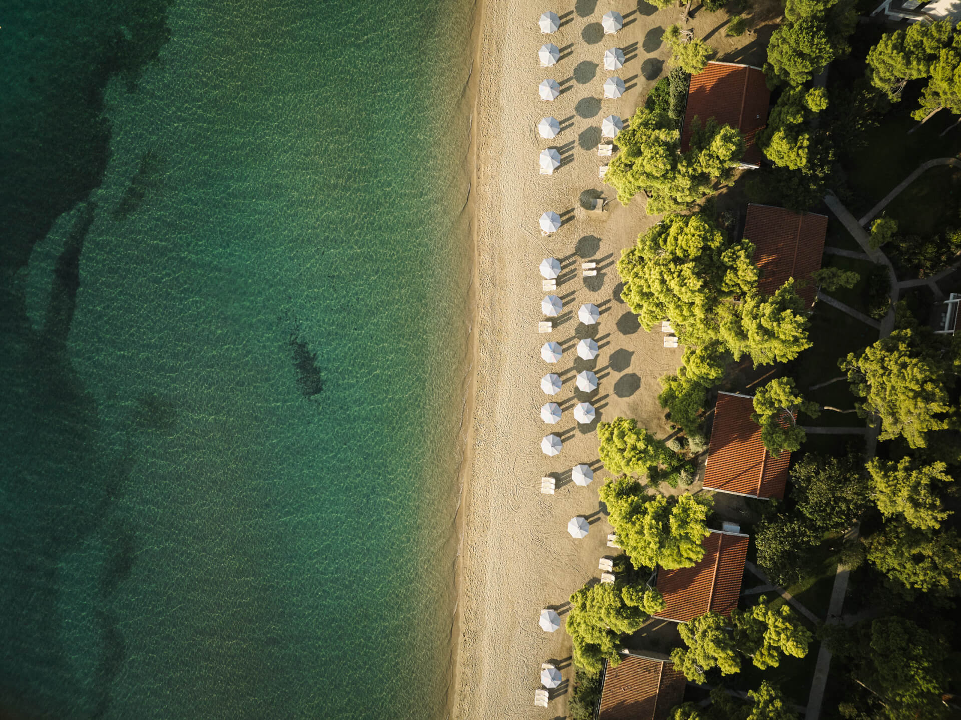 Gregolimano aerial coast