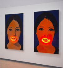 Martial Raysse and Elaine Sturtevang, installation view The collection, STEDELIJK BASE. Photo: Gert Jan van Rooij