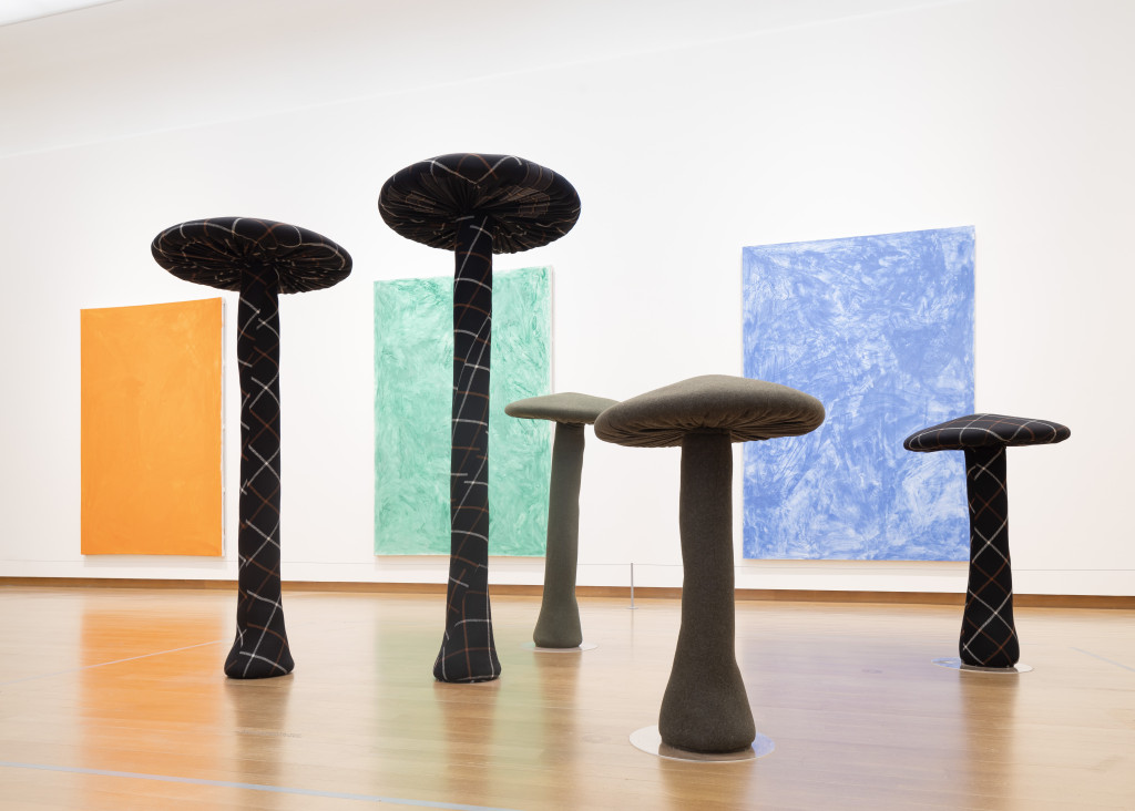 REKENEN MET PADDENSTOELEN VAN COSIMA VON BONIN