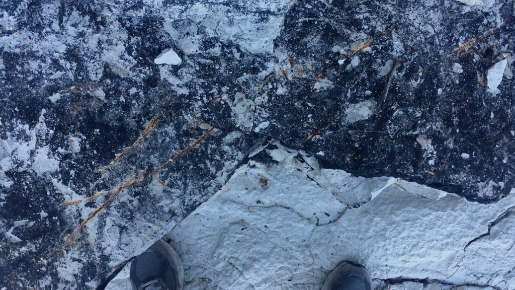 Charlotte Prodger, SaF05, 2019. Courtesy the artist, Hollybush Gardens, London, and Kendall Koppe, Glasgow.