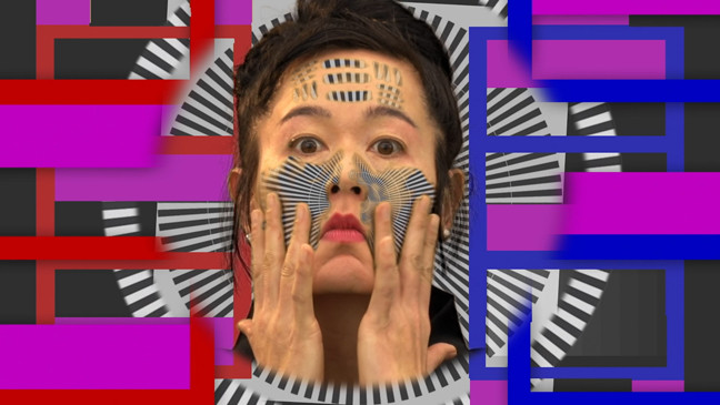 Hito Steyerl, How Not to Be Seen: A Fucking Didactic Educational .MOV File, 2013. Courtesy the artist, Andrew Kreps Gallery, New York and Esther Schipper, Berlin