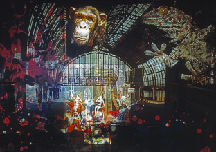 Adri Hazevoet, Lichtshow in Paradiso, circa 1970. © Adri Hazevoet