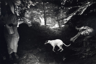 image alt