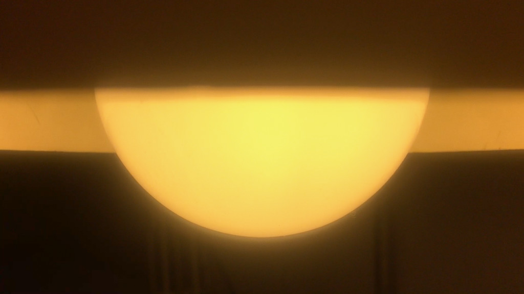 Charlotte Prodger, SaF05, 2019. Courtesy the artist, Hollybush Gardens, London, and Kendall Koppe, Glasgow.