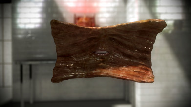 Deniz Eroglu, "Singing Baba (Baba as an Artist, Portrait)" & "Singing Kebab (Fleisch of My Life)", 2015, two-channel video with 3D animation, color, sound, 2 min., 41 sec. and 1 min., 58 sec., courtesy the artist.