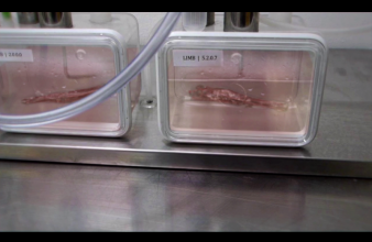 18. Floris Kaayk, filmstill of The Modular Body (2016)