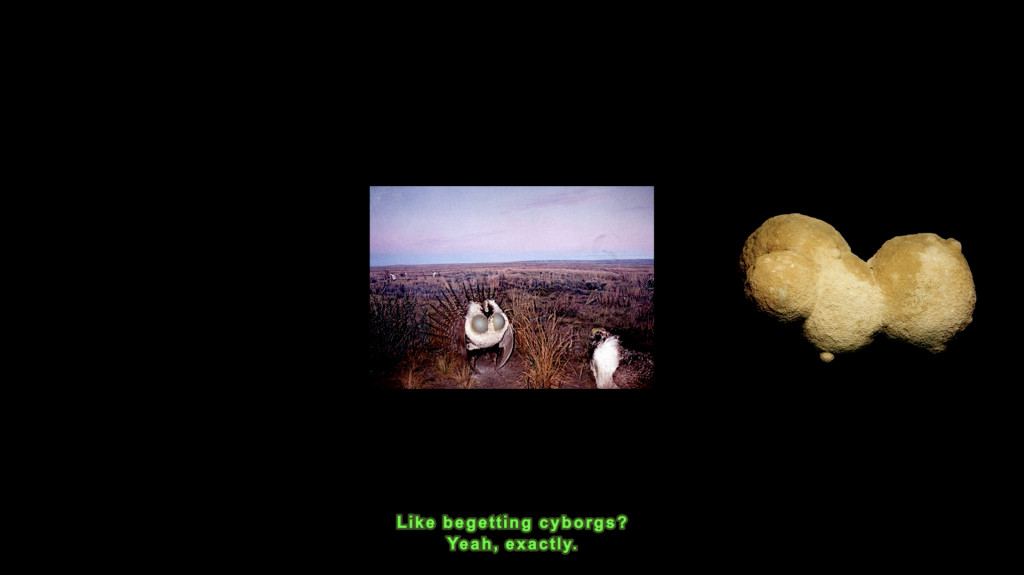 Lotte Reimann, 'objects and people', 2021. HD-video met geluid, duur: 20min45