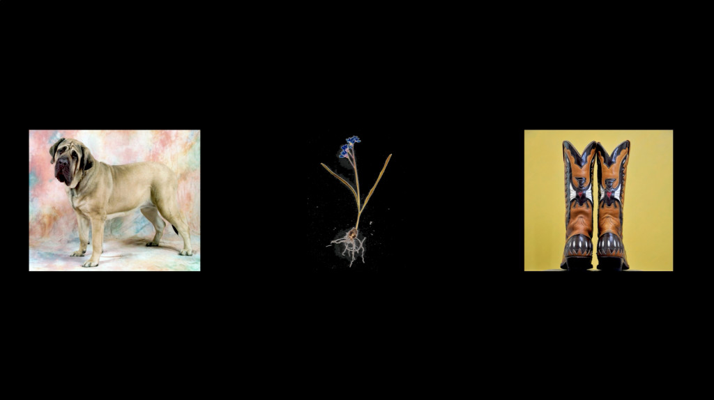 Lotte Reimann, 'objects and people', 2021. HD-video met geluid, duur: 20min45