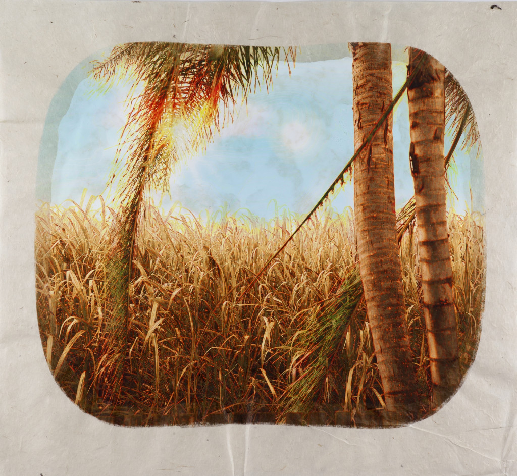 Tracey Moffatt, Plantation, 2006. Photo from a series of 12. Collection Stedelijk Museum Amsterdam, donation of Pieter en Marieke Sanders, 2014.
