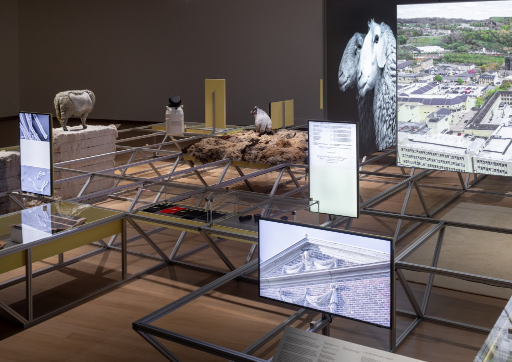 Room view Formafantasma, installation from above