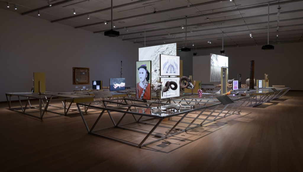 Room image Formafantasma, installation 