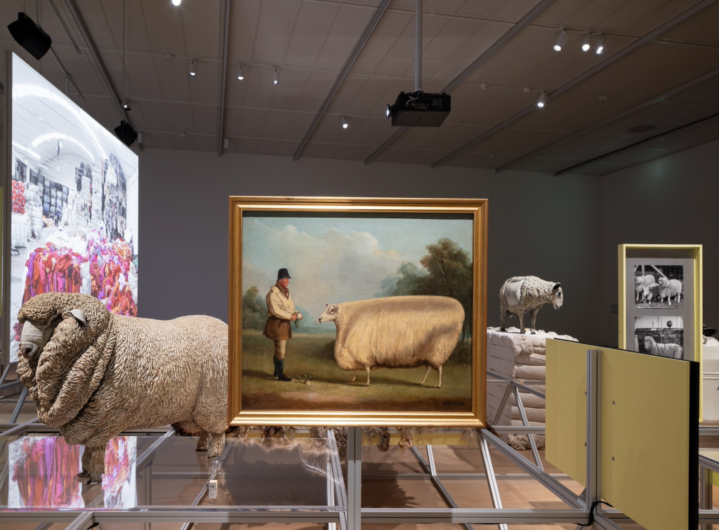 Room view Formafantasma, work with sheep in foreground