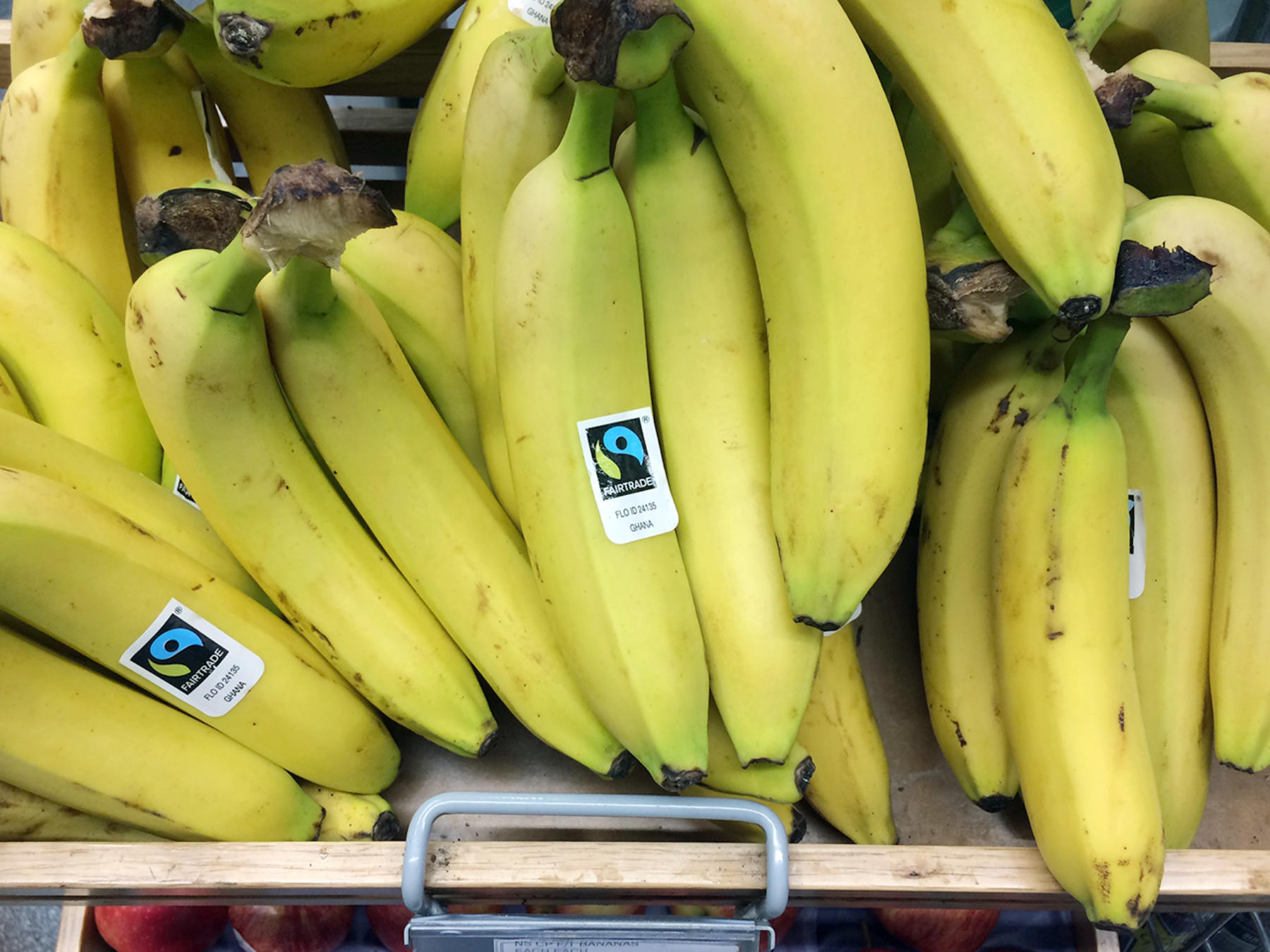 Fairtrade Bananas