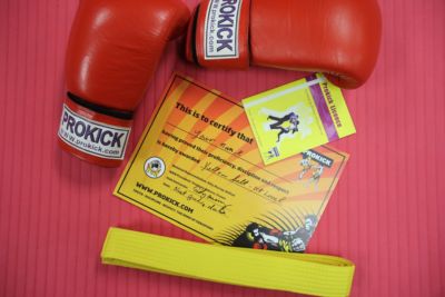 The Next ProKick Grading Day for ProKick Kids & Adults will be Sunday 15th December starting at 10:30am