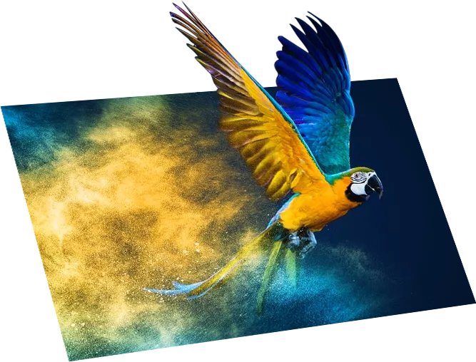 Tab9