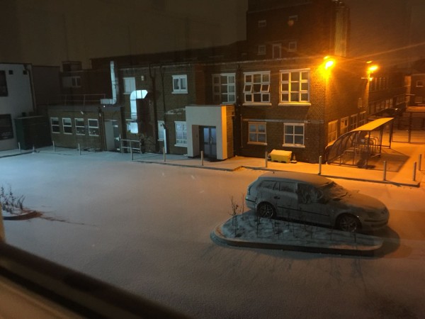 snow_1523219981.jpg