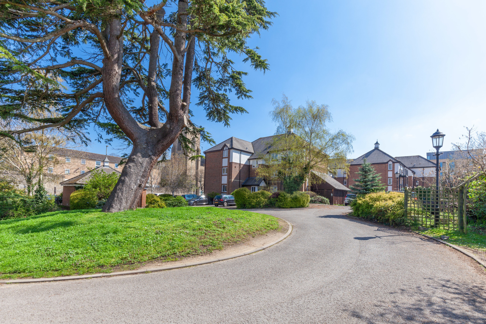 Cedar Court