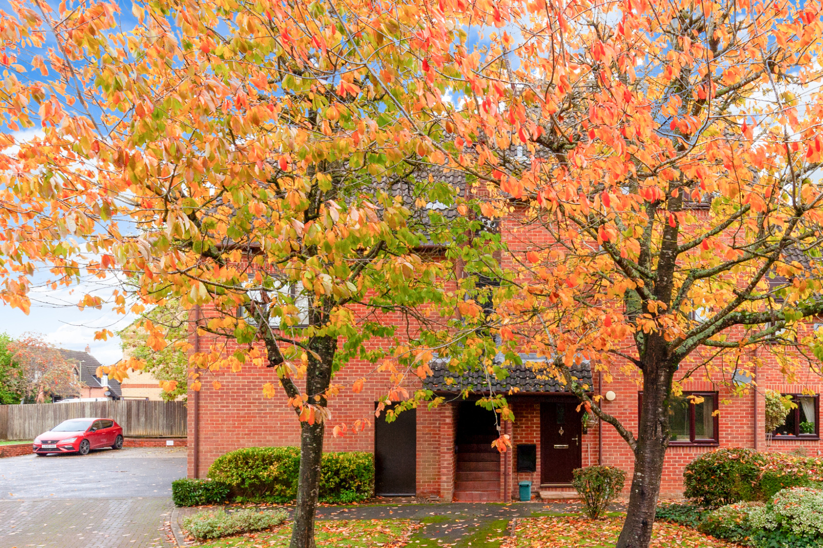 Hornbeam Drive
