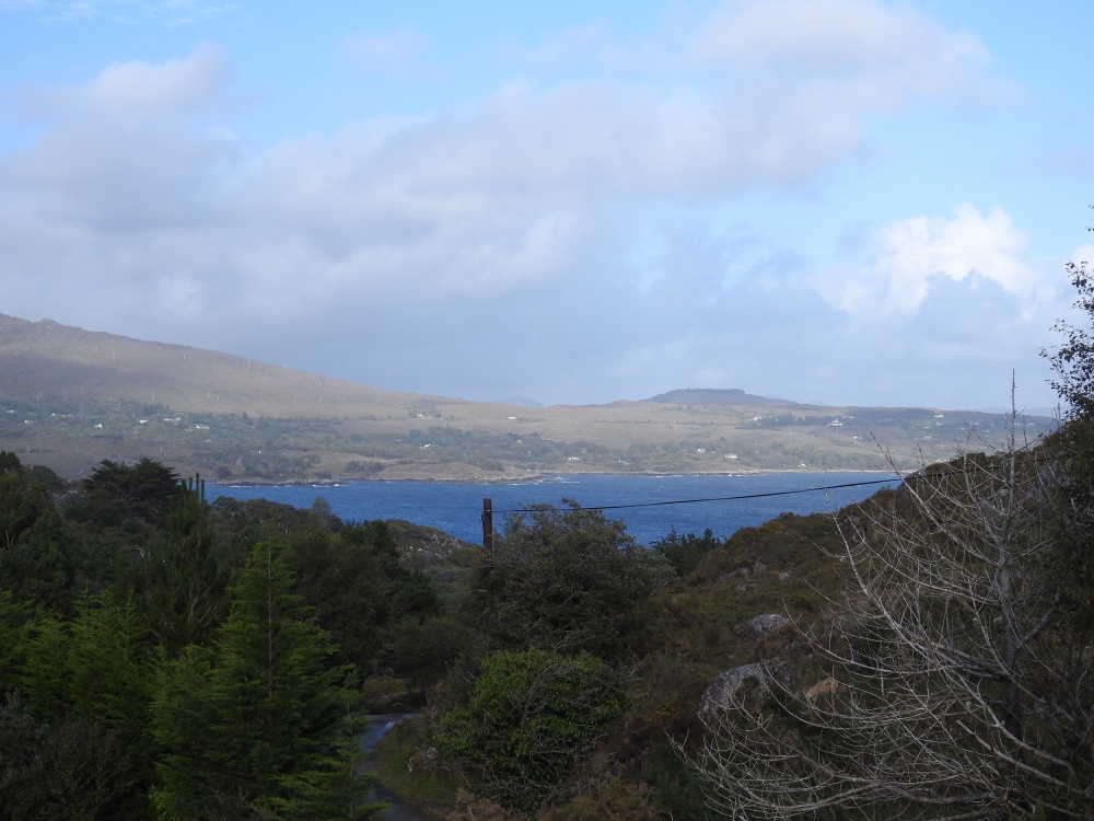 Bocarnagh, Cork, Glengarriff
