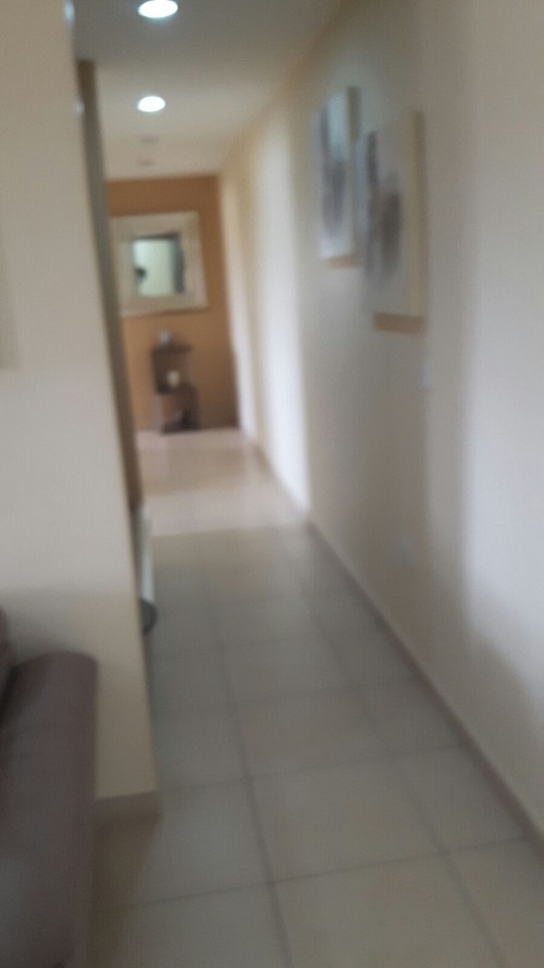 Owl Image