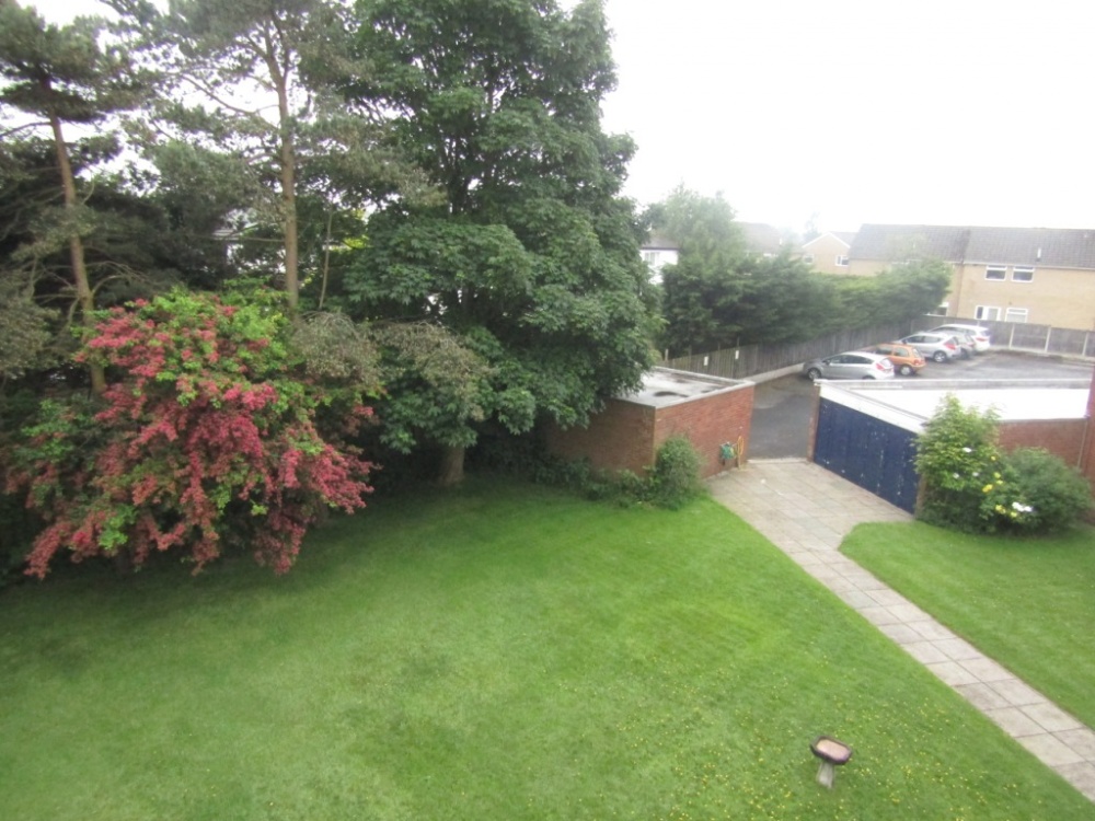 Chester Avenue