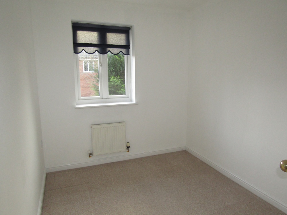 Tarragon Drive