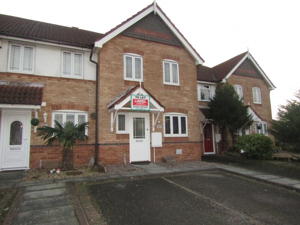 Tarragon Drive