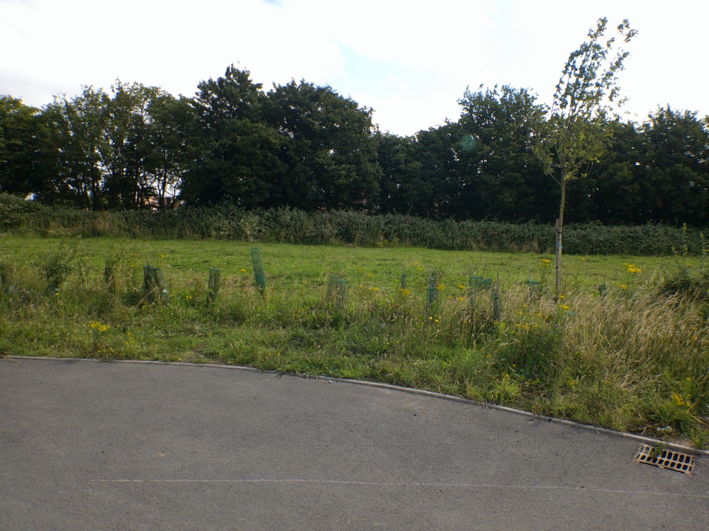 bluebell close Droitwich Spa