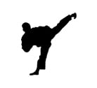 Taekwondo - MMA Fighting Style