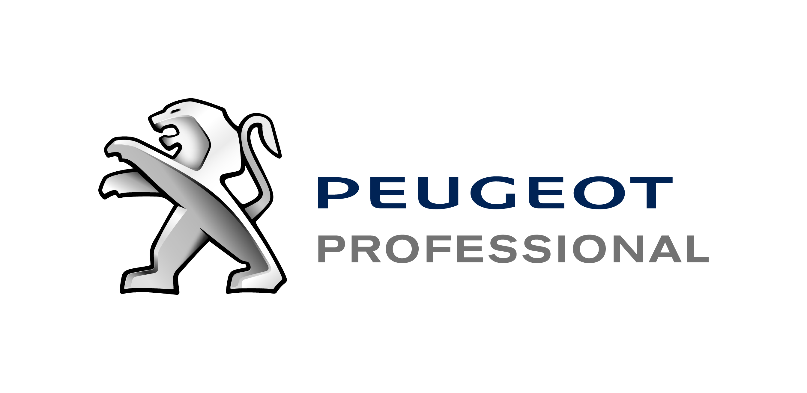 Peugeot_Professional_H_RVB