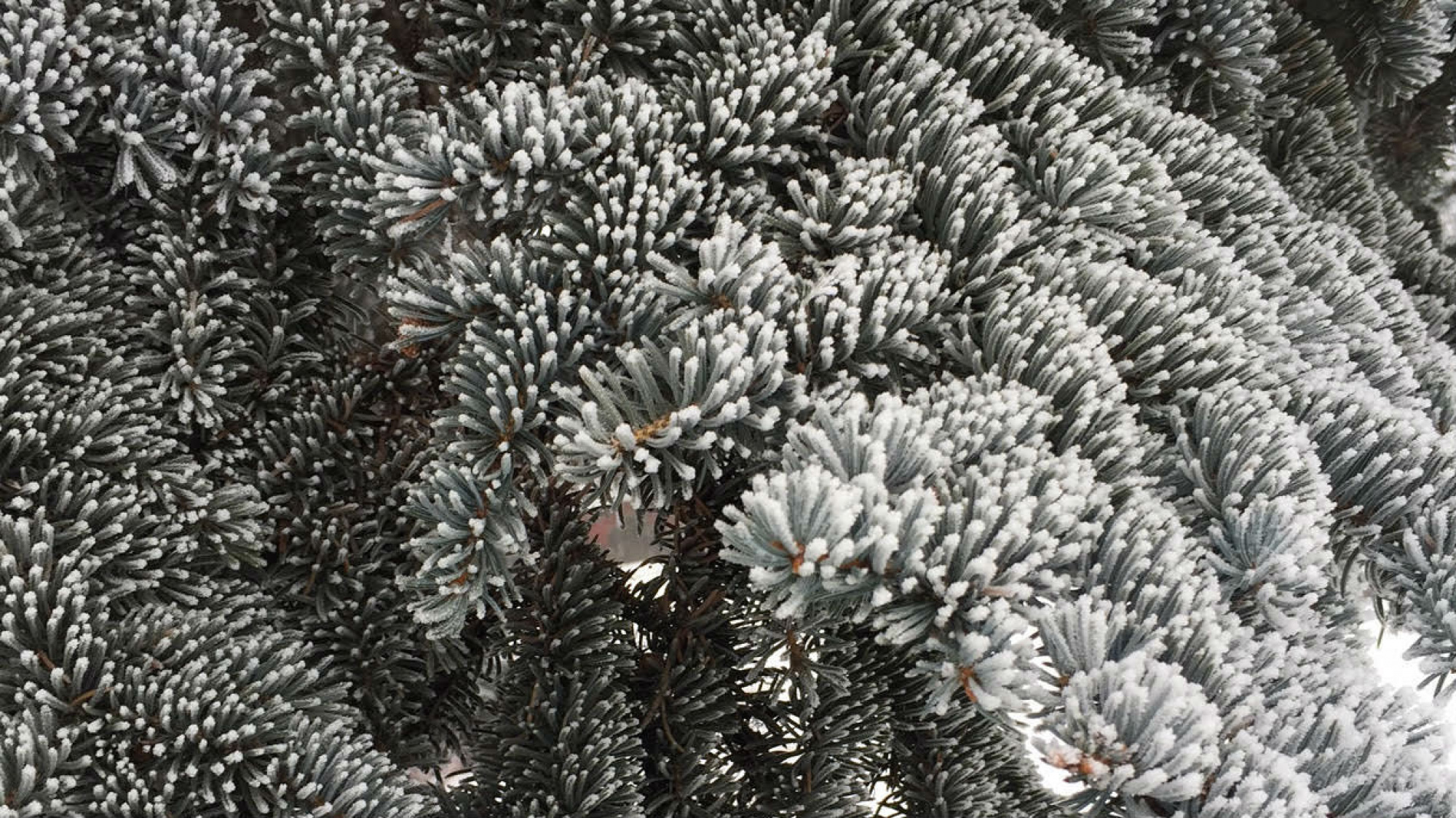 Jan. 24 blog roundup