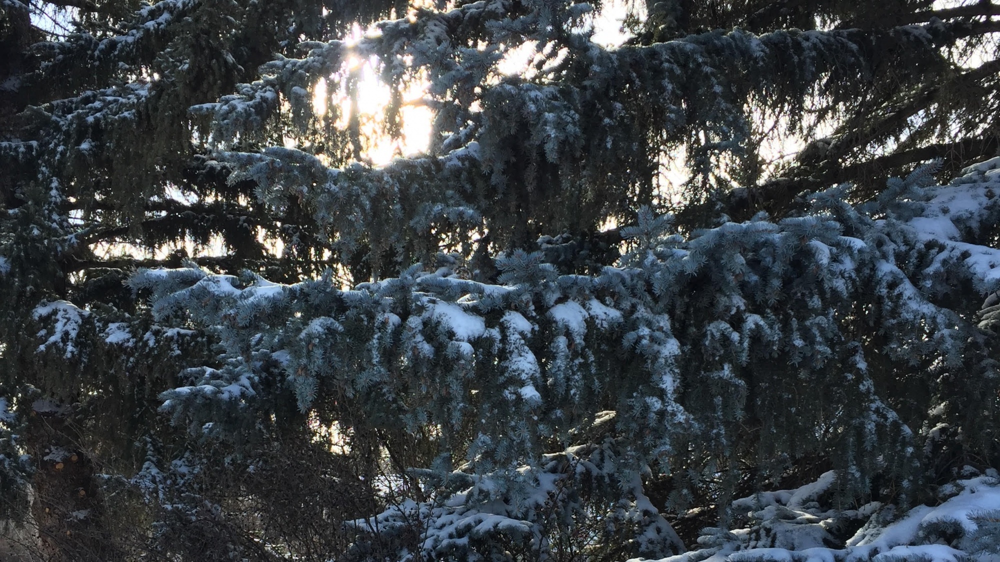 March 8 blog roundup