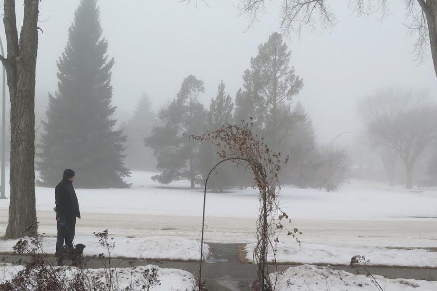 A foggy winter walk