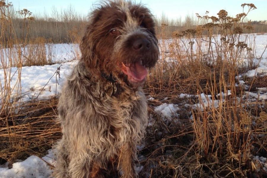 A well overdue thank you - for Mr. Will Munsey