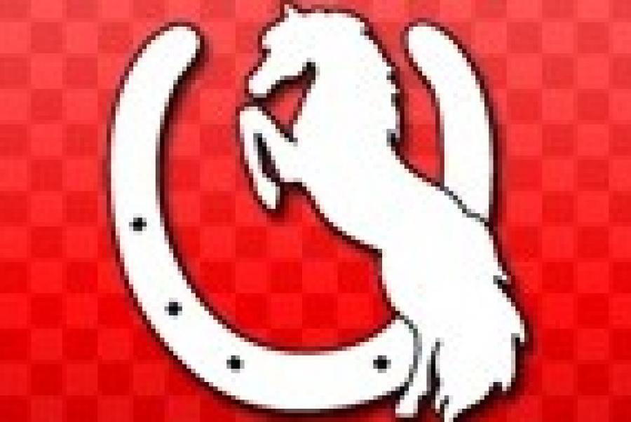 Canada Equine ...On-Line: Equinely-Inclined! Podcast