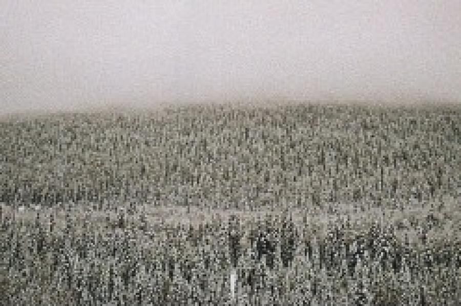 Capital City Records Podcast: Nature Of