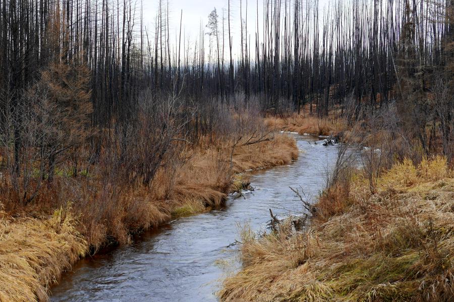 Eating Independant in Fort McMurray