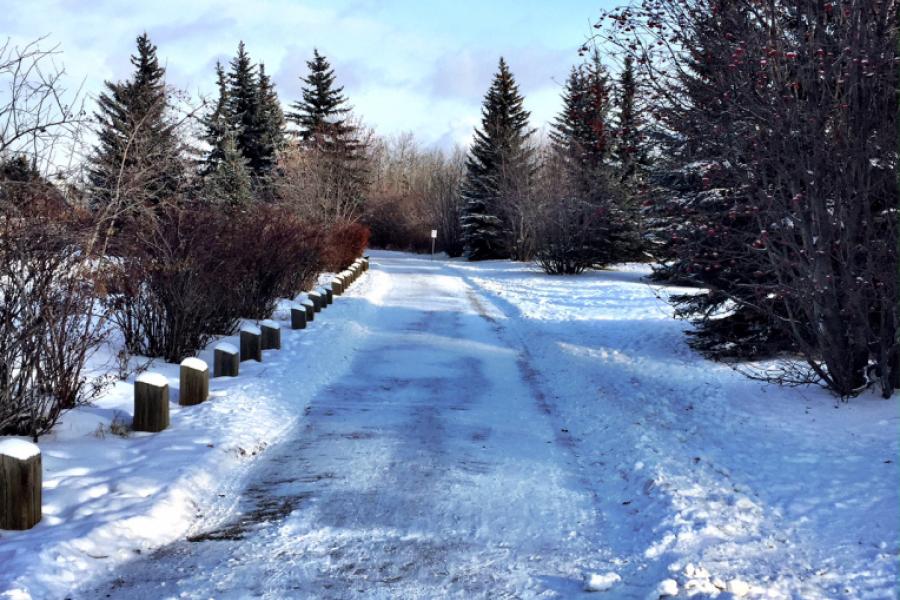 Edmonton Tourist: Upper Mill Creek Ravine