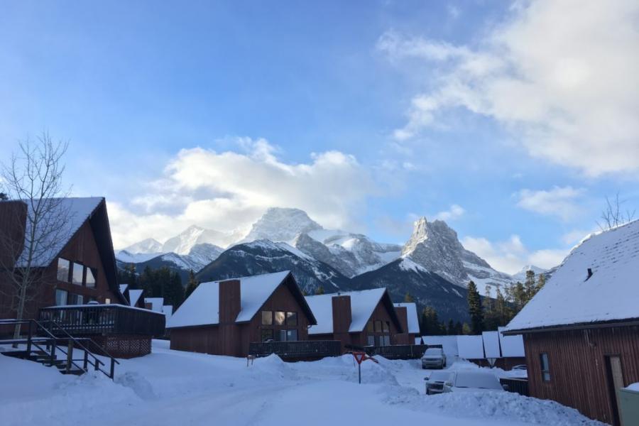 How To Combat A Severe Case Of Some Day-itis