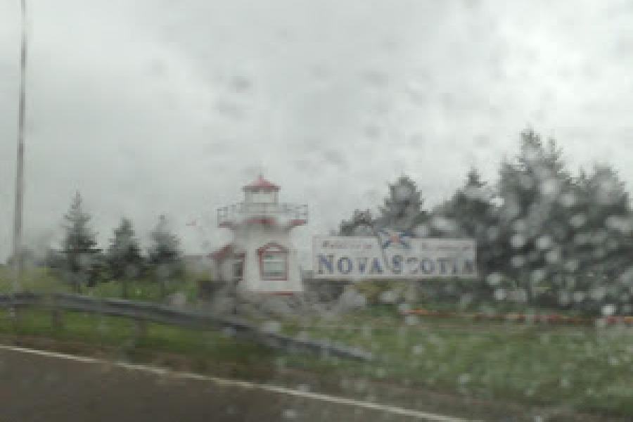 Out Of The Nest Travels