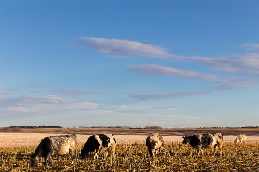 Recap: #MeetInTheMiddle - MasterMaq.ca Blog