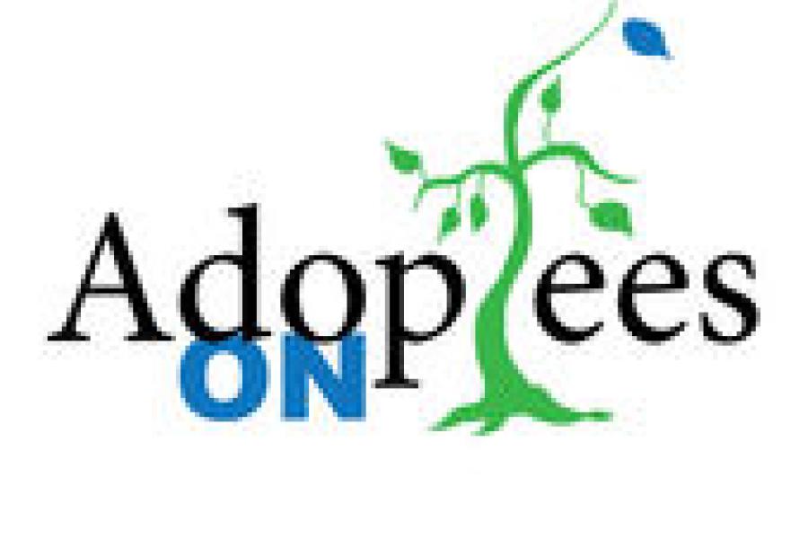 Season 1, Episode 13: Finale